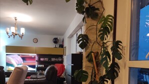 Interior - Awsome 2 Bedroom Apartment in Makarska (Makarska)