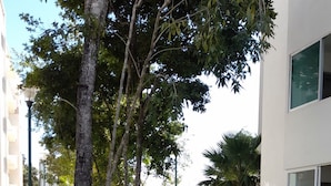 A concrete pathway flanked by greenery and trees, leading to a modern building with large windows.