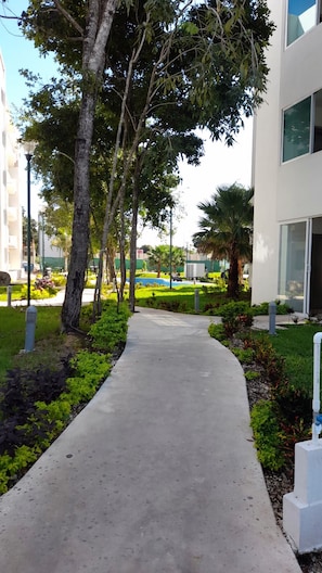 A concrete pathway flanked by greenery and trees, leading to a modern building with large windows.