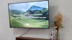 Een televisie aan een muur bevestigd, met een houten plank eronder, een stopcontact en een vaas met gedroogde bloemen aan de rechterkant.