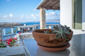 A terracotta pot with a succulent plant on a balcony railing. - Irenes View Apartments Villa 5 - 5 Guests With Pool and sea View in Agia Irini (Paros)