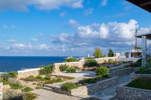 Property grounds - Irenes View Apartments Villa 5 - 5 Guests With Pool and sea View in Agia Irini (Paros)