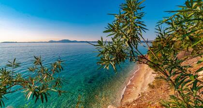 "room in Guest Room - Room With Private Pool"