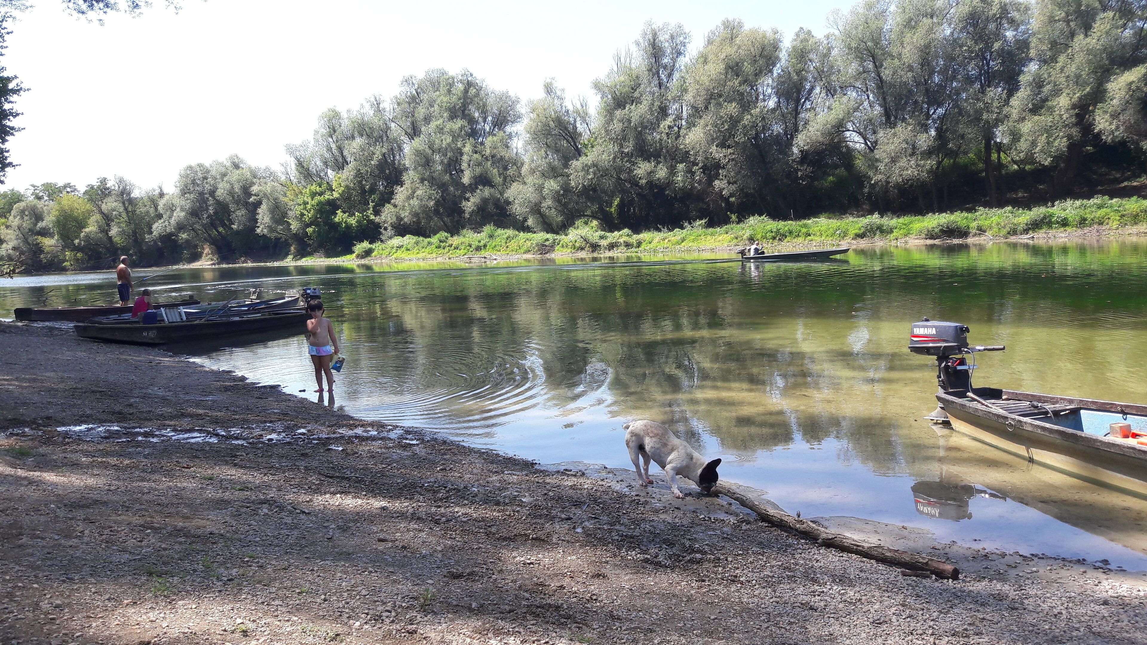 Ein Flussufer mit Booten, einem Hund und Menschen.