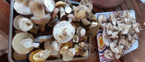 A tray and a plate filled with various mushrooms.