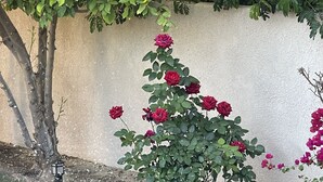 Detalle exterior