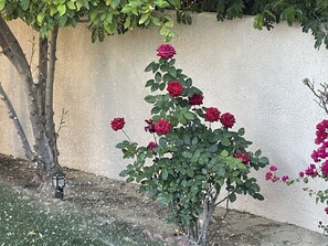 Exterior detail - Golf Club Pool House (Bermuda Dunes)