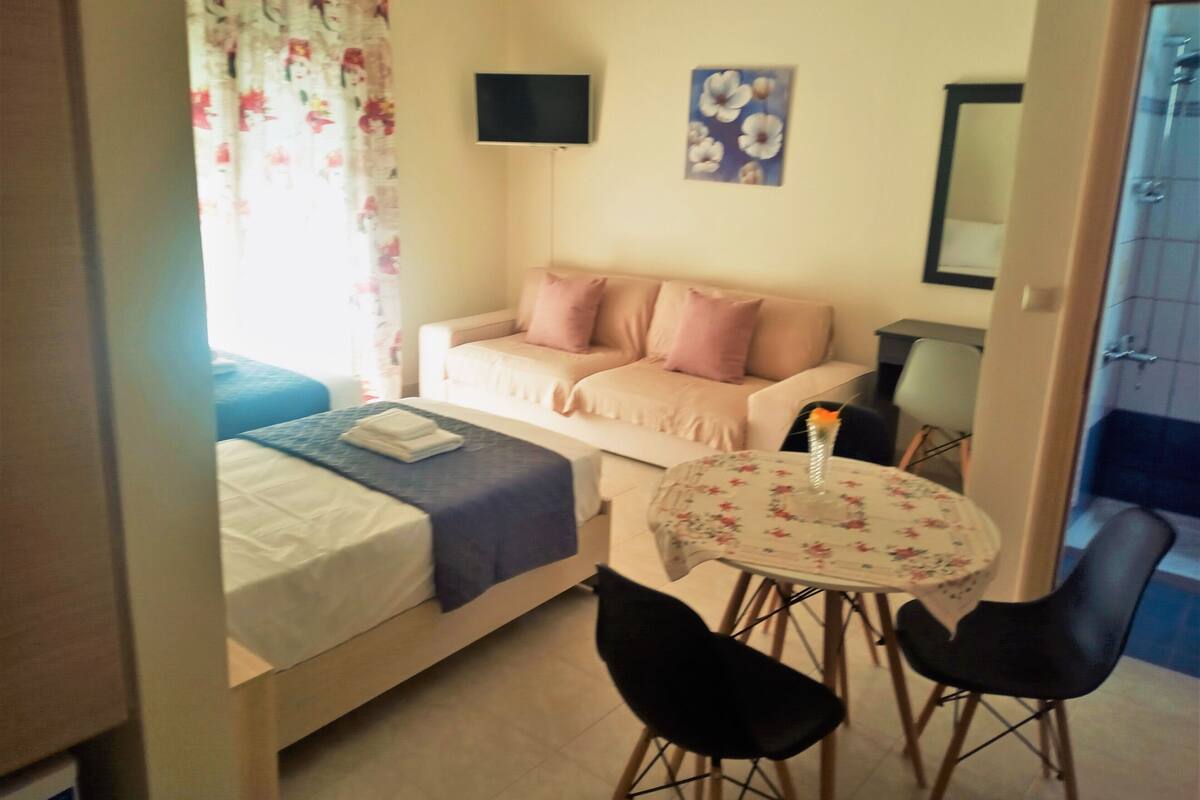A small, well-lit room with a bed, a sofa, a TV, a table with chairs, and a floral painting on the wall.