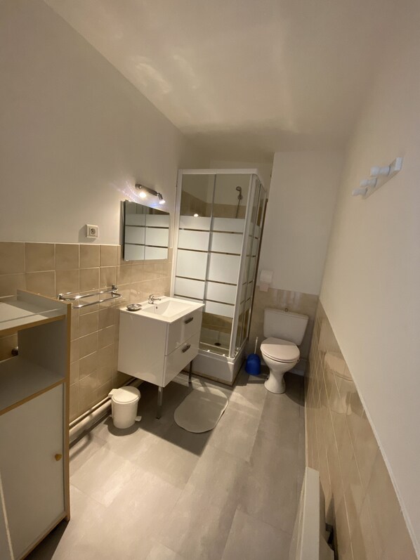 Shower, towels, soap, toilet paper
