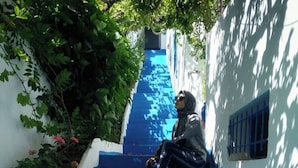 A person sitting on a blue staircase surrounded by greenery.