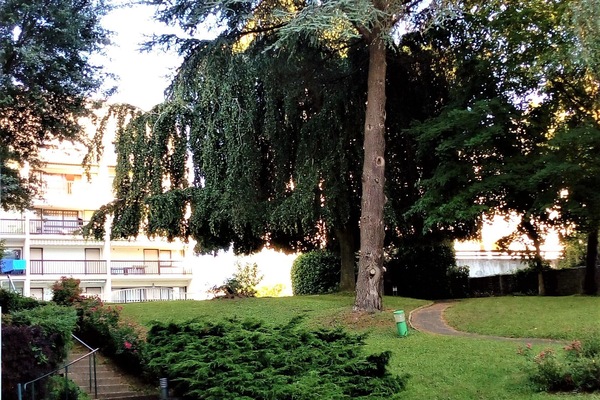 Parco della struttura