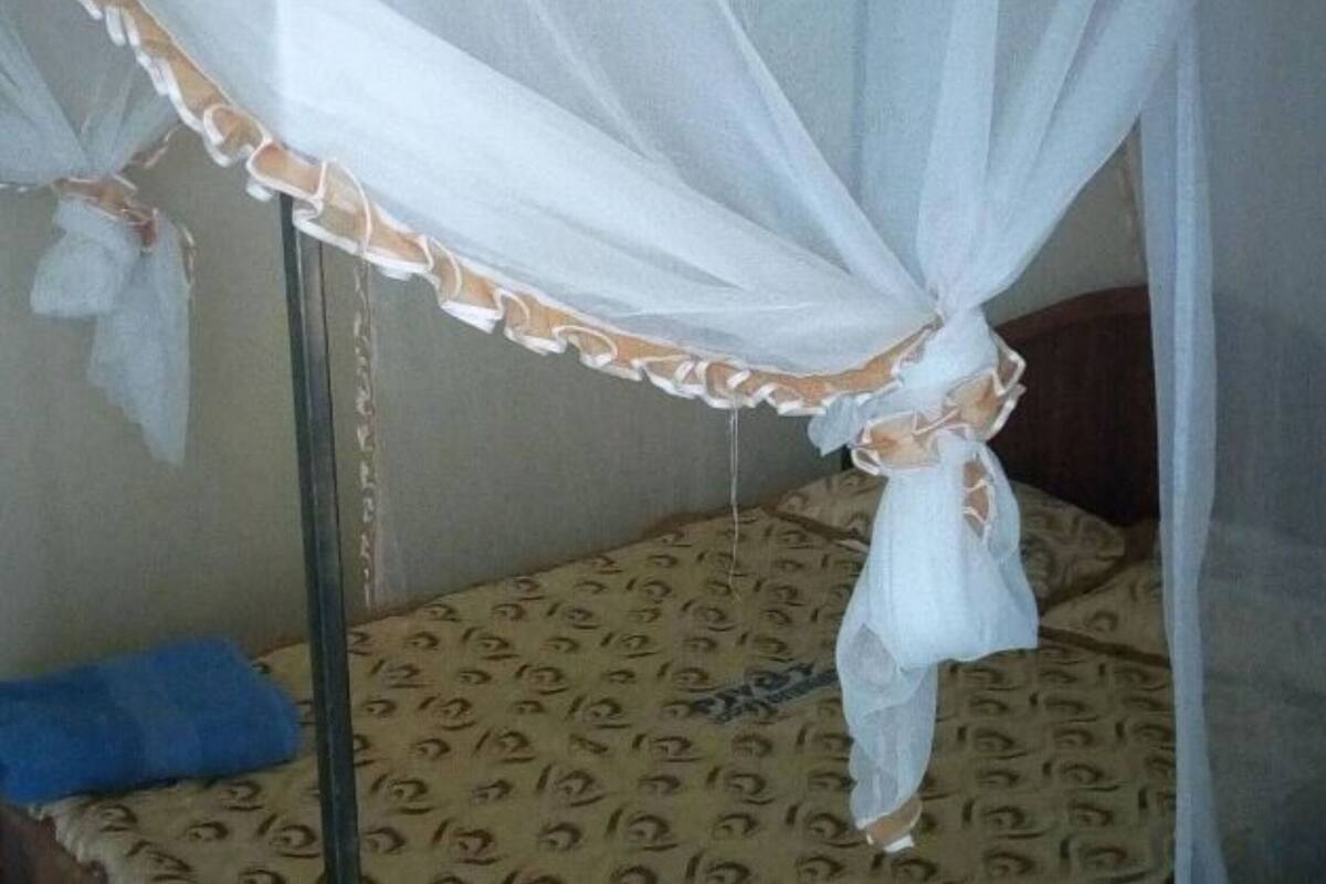 A bed with a mosquito net and patterned bedding.