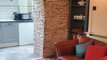 Smart TV, fireplace, books