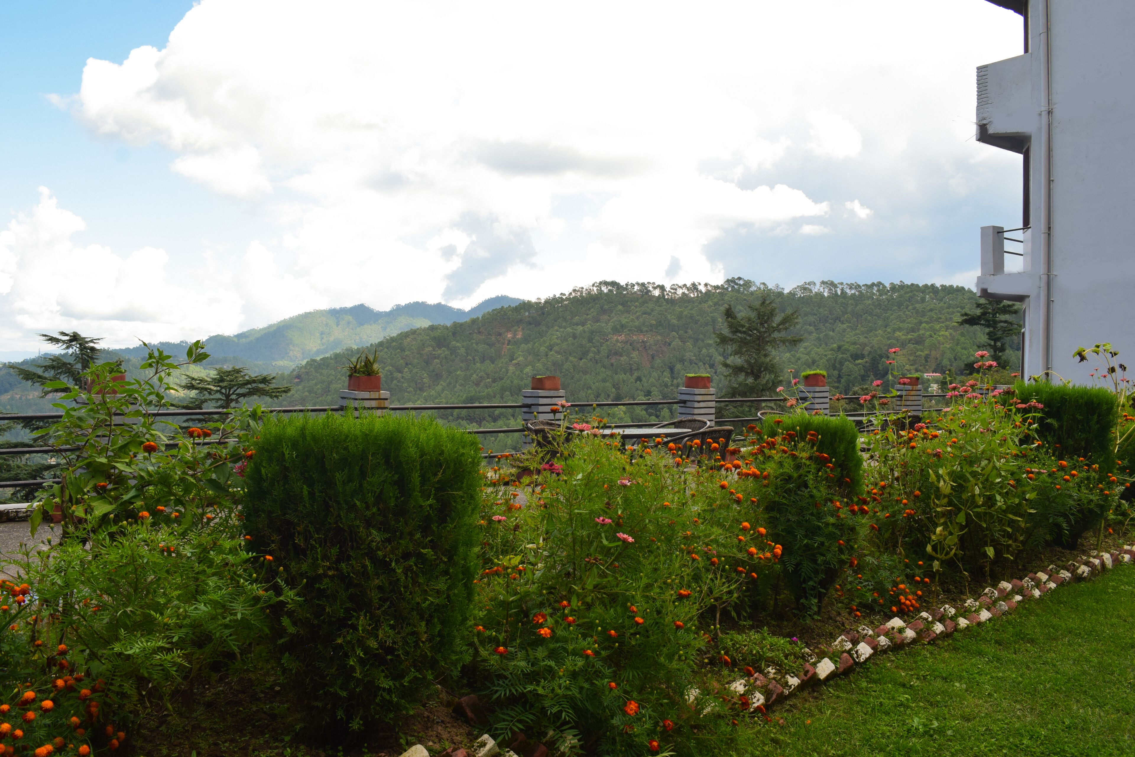 Ein Garten mit verschiedenen Pflanzen und Blumen, einem Geländer und einer Bergblick im Hintergrund.