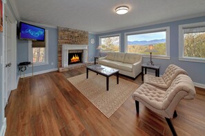 TV, fireplace, video games, DVD player