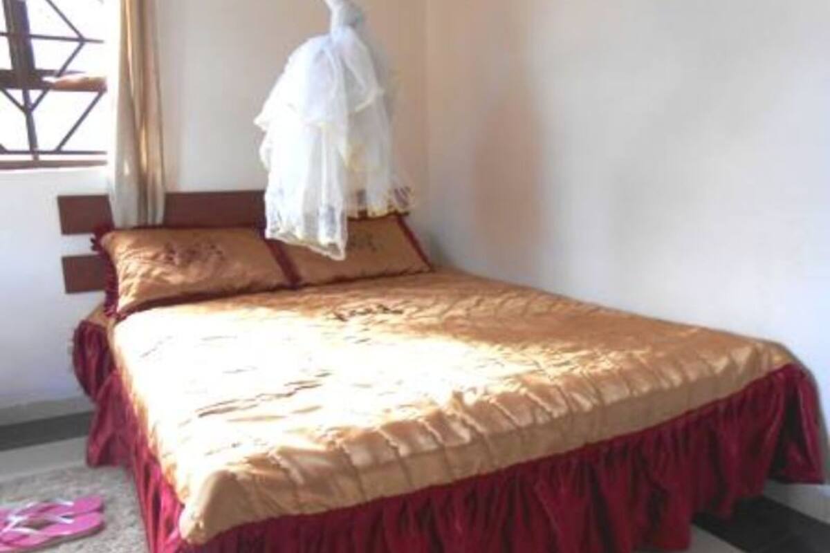 A bedroom with a bed, pillows, and a mosquito net.