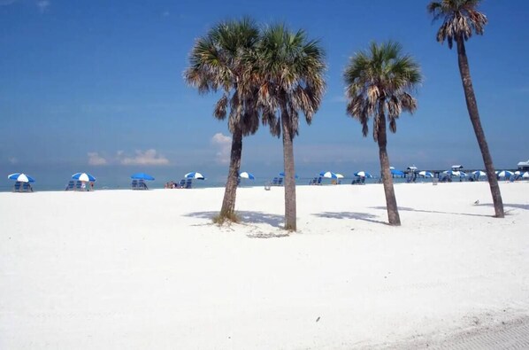 Nära stranden