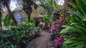A pathway flanked by lush tropical plants leading to a structure with a blue roof. - Villas Jacquelina (Quepos)