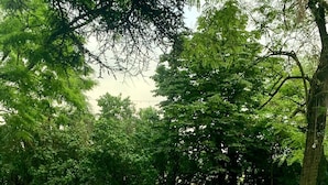 室外宴会场地