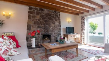 TV, fireplace