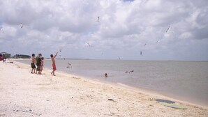 Een strand met mensen en vogels, een heldere lucht en een rustige zee.