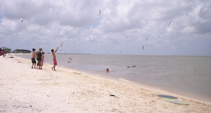 The Pelican at Magnolia Beach