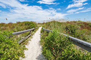 A sandy path flanked by wooden railings leading through a natural landscape with dense greenery and wildflowers.