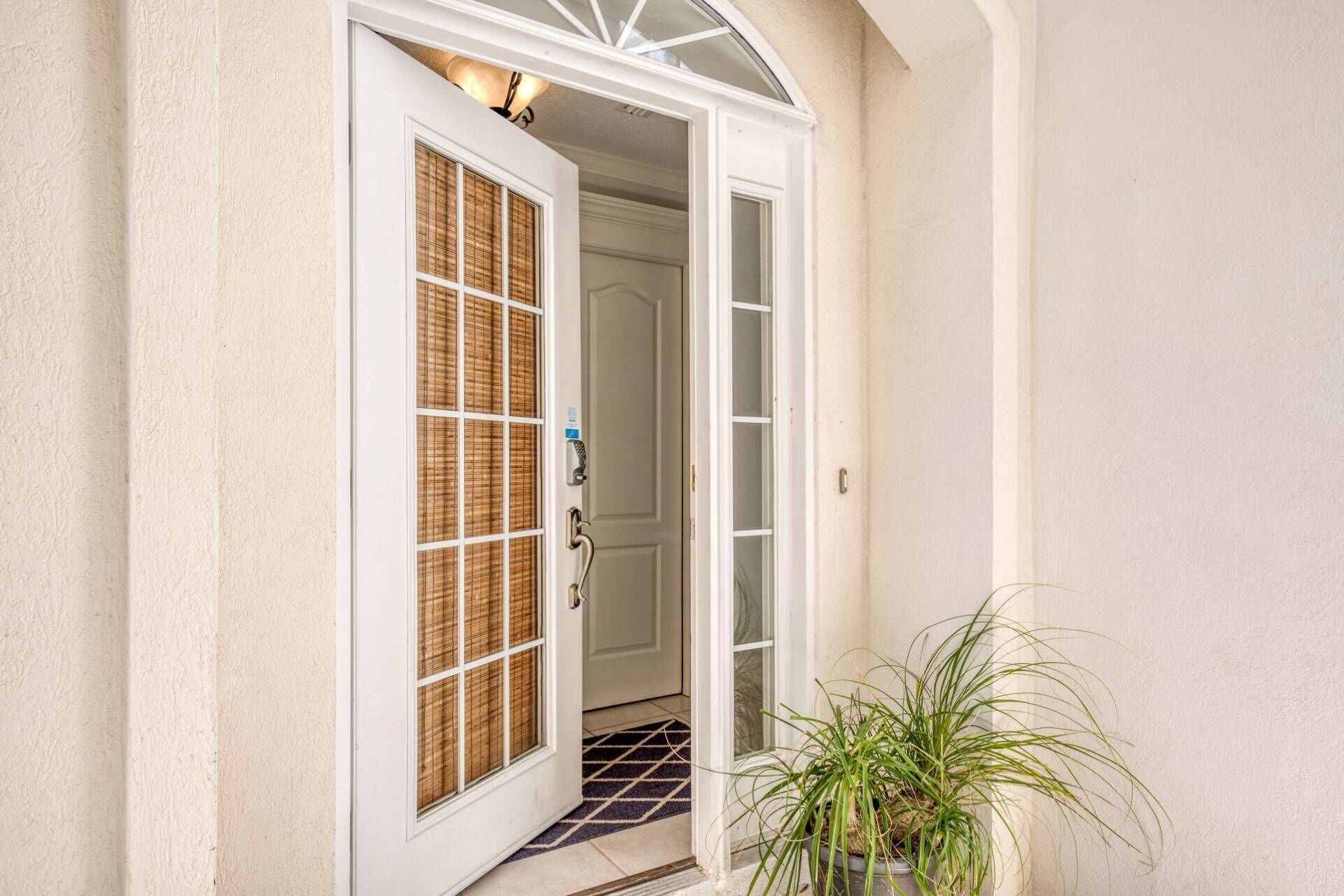 公寓客房 (Montego Bay) | 外觀