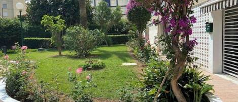 Terrein van de accommodatie