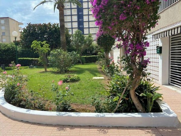 Terrein van de accommodatie