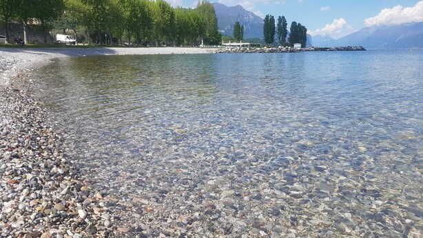 A clear lake with a pebble beach, trees, and mountains in the background. - Casa Marisa (Toscolano Maderno)