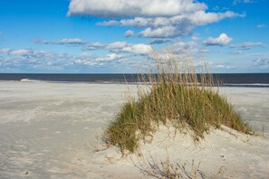 A beach with sand dunes and sparse vegetation. - Surf Perch - 10th St (St. Augustine)