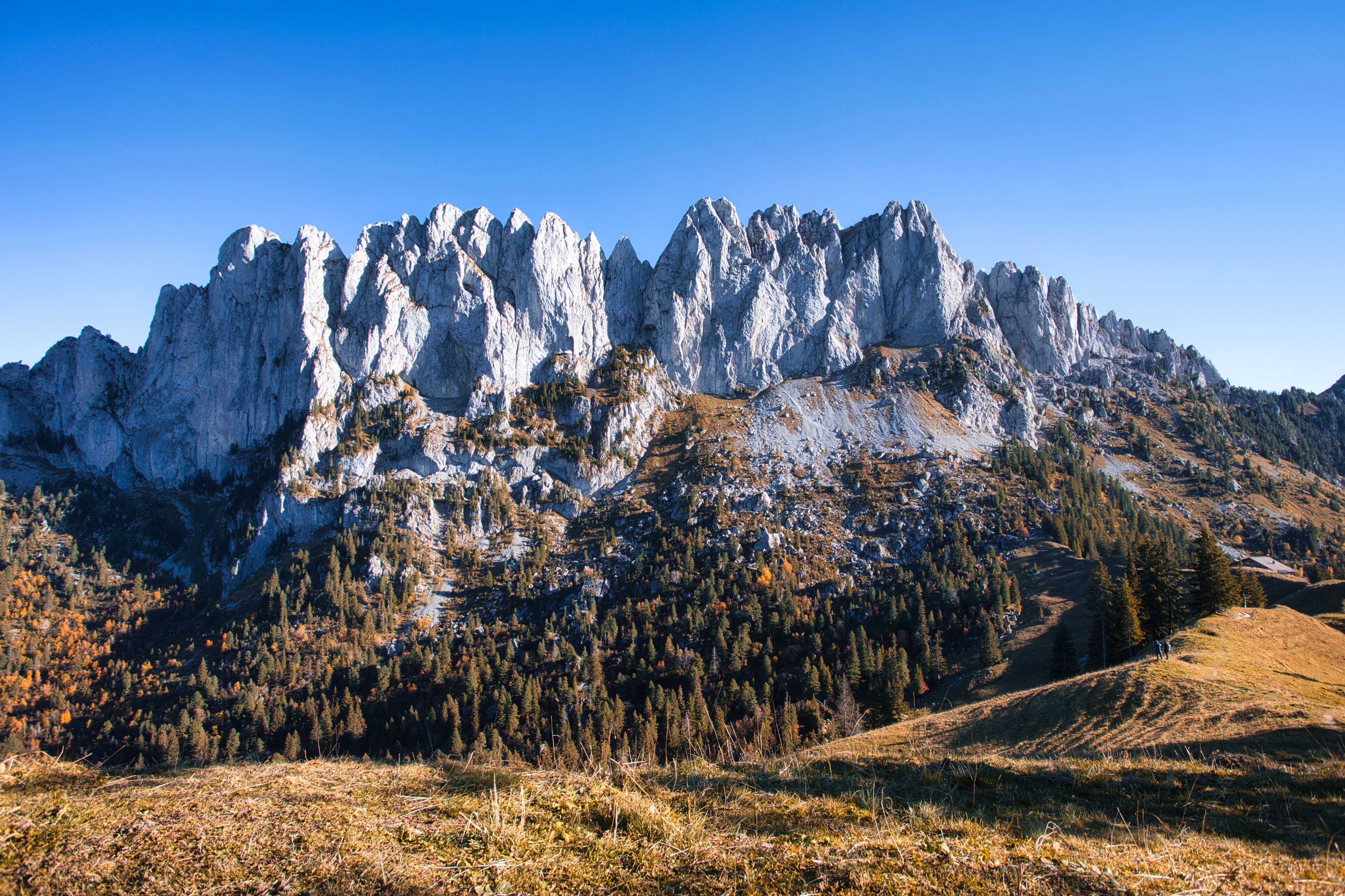 A mountainous landscape with rocky peaks and a forested valley.