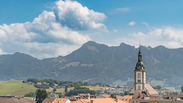 Junior Suite | View from room