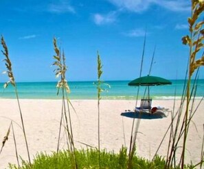 Vlak bij het strand