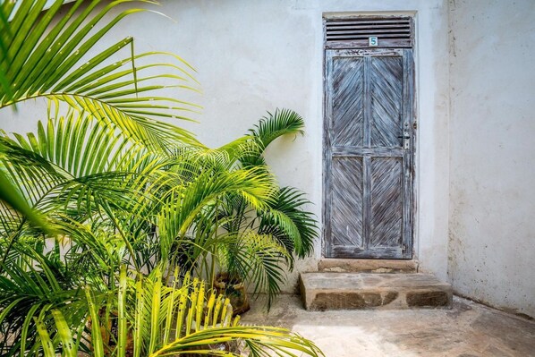 Une porte usée par les intempéries, ornée d’une plaque portant un numéro, et entourée d’une végétation luxuriante.