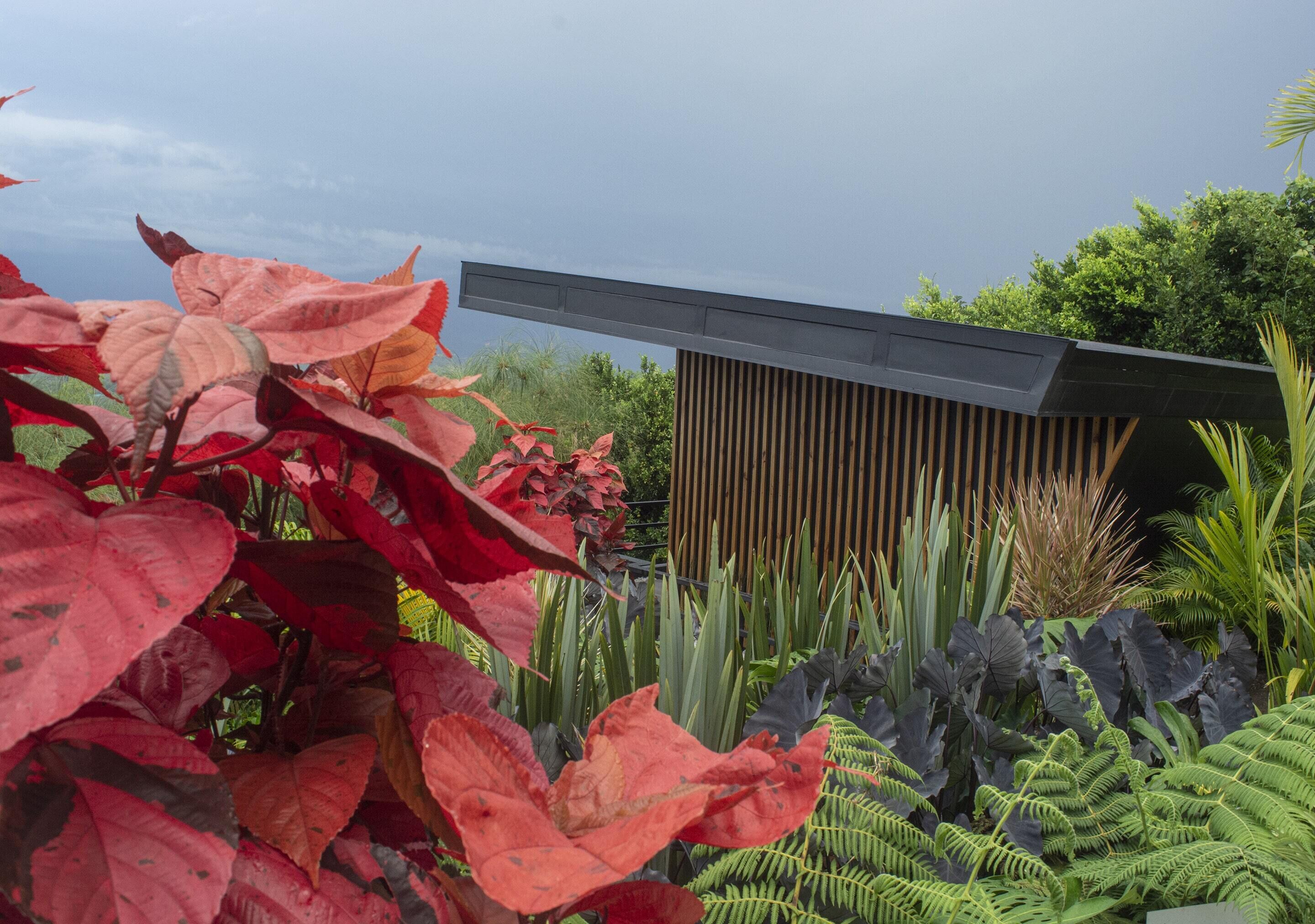 Un edificio moderno con tejado inclinado y paneles verticales de madera, rodeado de abundante vegetación que incluye plantas grandes rojas y verdes.