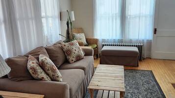 Smart TV, fireplace, books