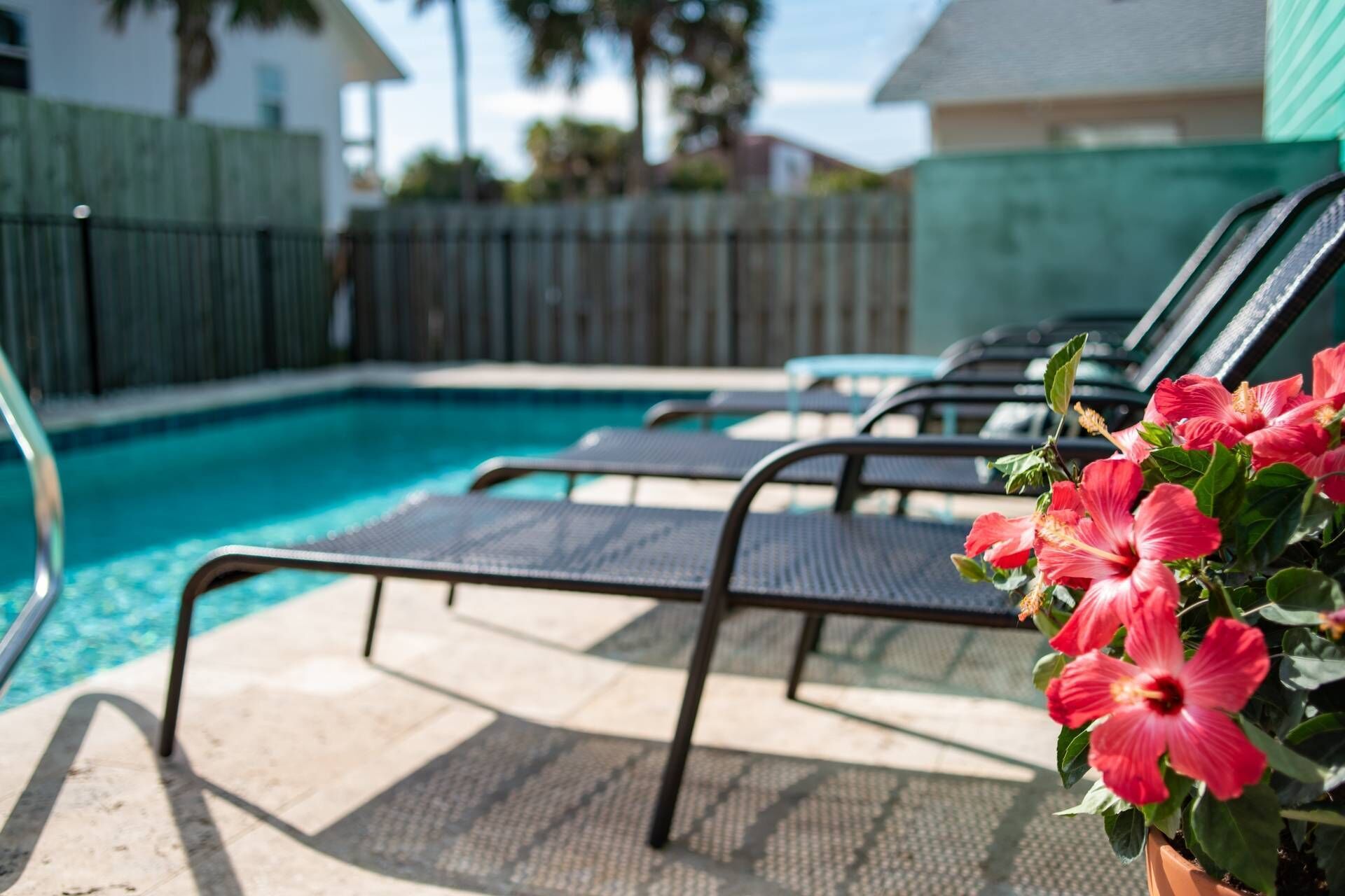 A poolside area with lounge chairs and a hibiscus plant.