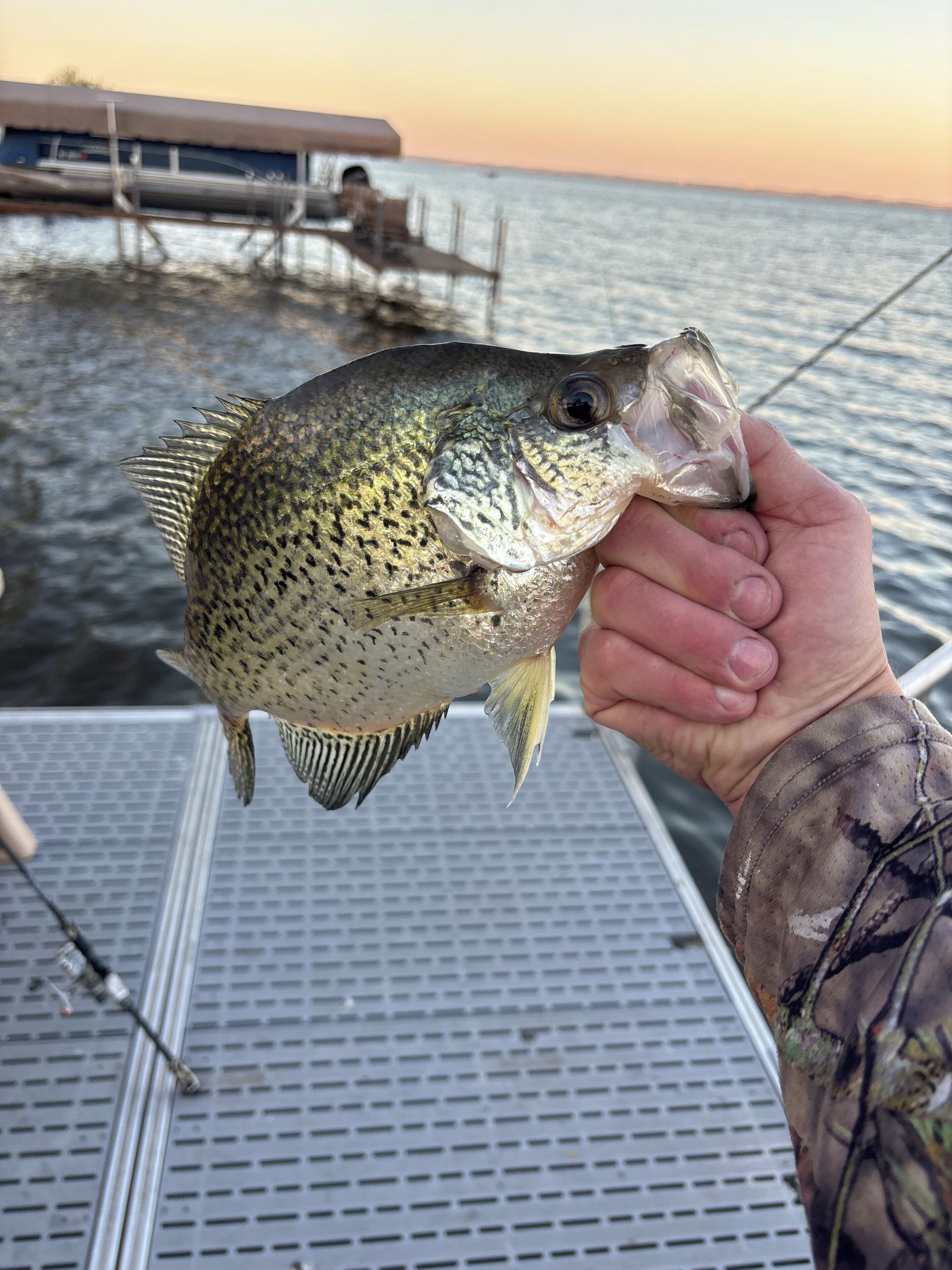 A person holding a fish on a boat.