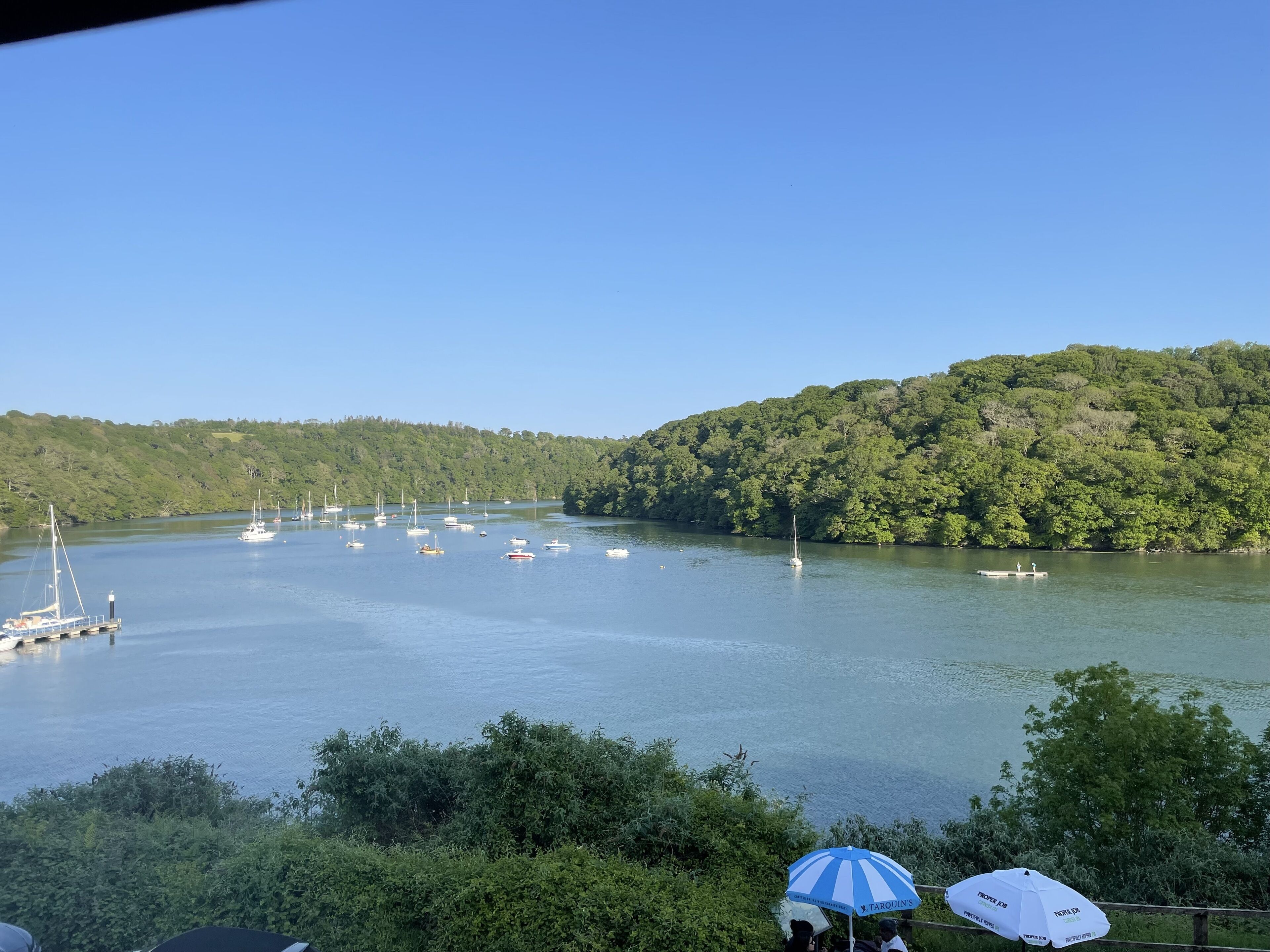 A view of a lake with several boats, surrounded by lush greenery and hills.