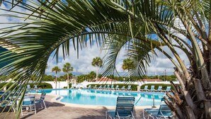 A swimming pool with lounge chairs and palm trees. - Ocean and Racquet #3116 (St. Augustine)