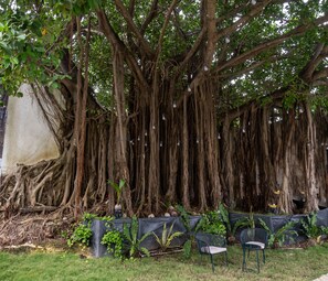 숙박 시설 구내