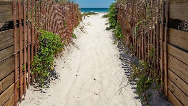 A sandy beach path flanked by wooden fences with vegetation growing between them. - Ocean Villas #76 (St. Augustine)