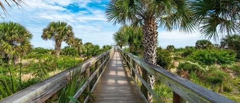 A wooden boardwalk leading through a natural area with palm trees and dense vegetation.