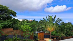 Um jardim no terraço com um deck de madeira, um pequeno galpão de madeira e diversos vasos de plantas.