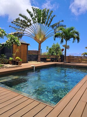 Ein klares Schwimmbecken, umgeben von Holzdecks, Palmen und verschiedenen Kübelpflanzen.