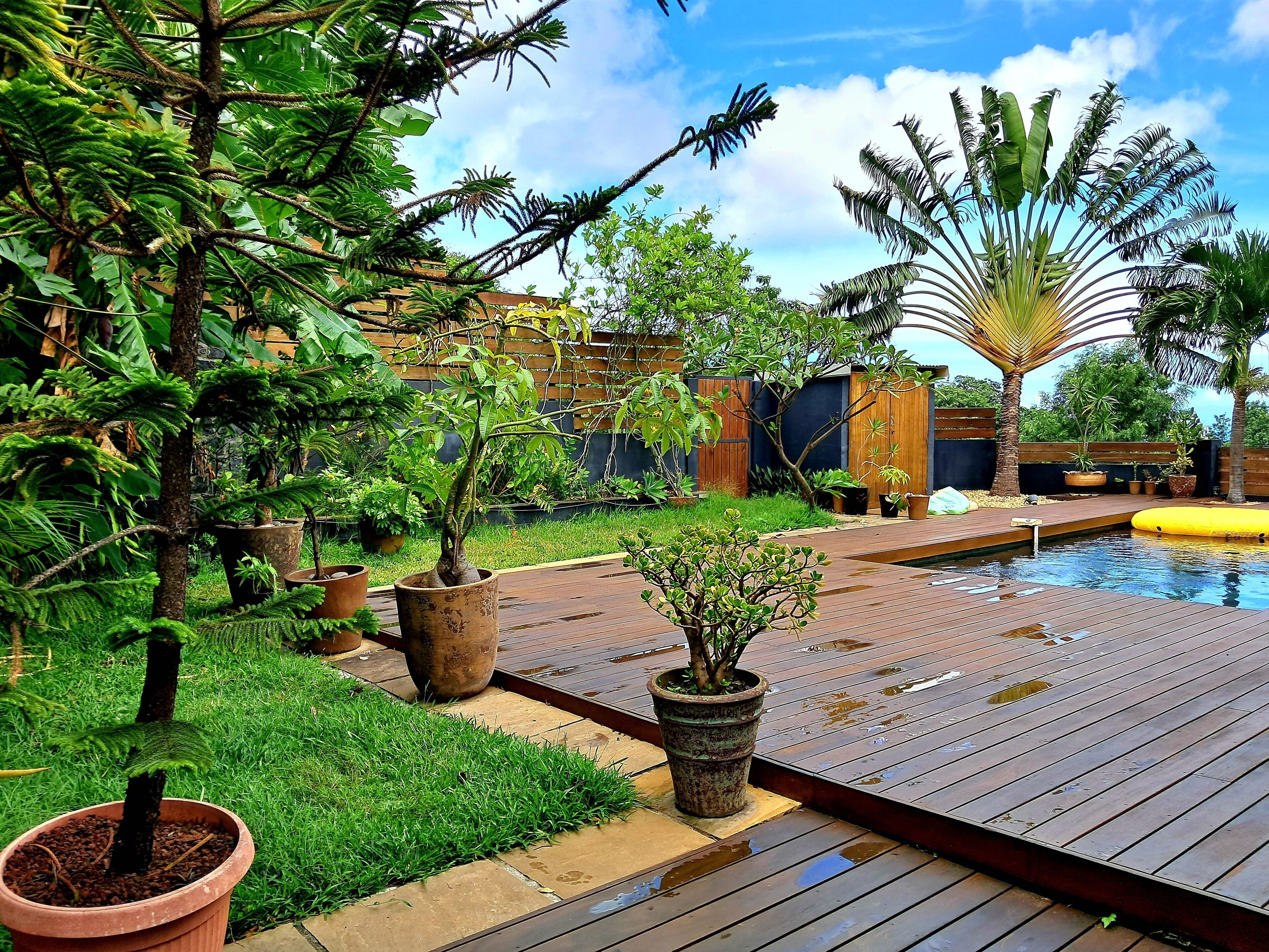 A wooden deck with a pool, surrounded by various potted plants and a lush green lawn.