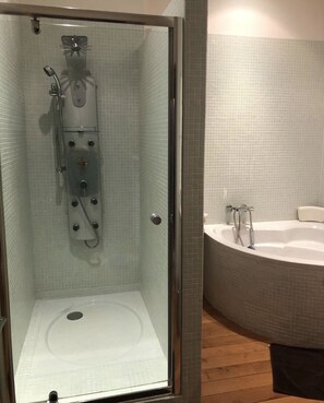 Combined shower/tub, hair dryer, towels, soap - Air-conditioned town house with heated swimming pool (Arles)