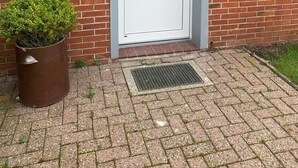 Una casa de ladrillo rojo con una puerta blanca y una pequeña planta en maceta a su lado.